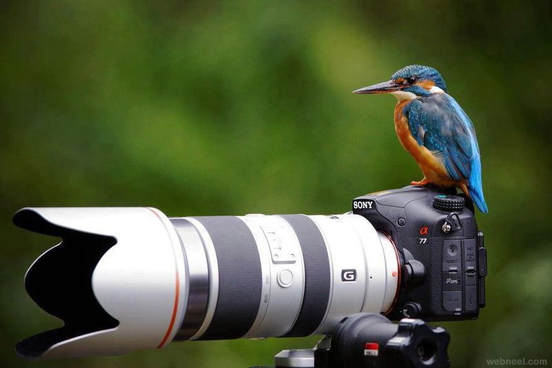 Как и где пойти в колледж фотографов